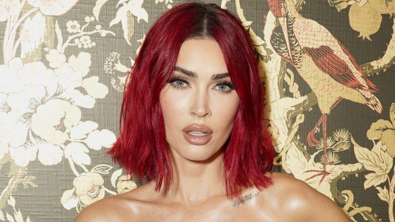 Reddit est déchiré par le nouveau visage de Megan Fox : est-elle méconnaissable maintenant ? En fait, ce n'est l'affaire de personne