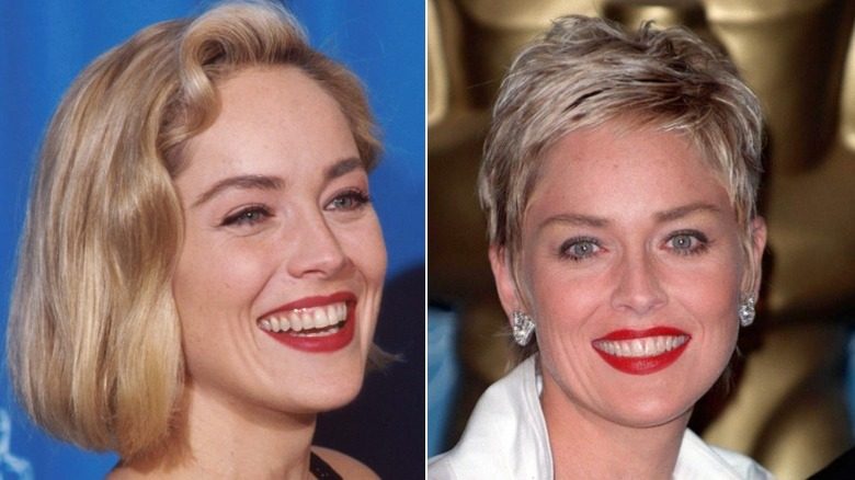 Sharon Stone montre un carré et son lutin signature