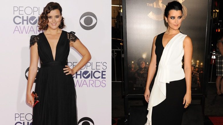 Image partagée des apparitions de Cote de Pablo sur le tapis rouge en 2015