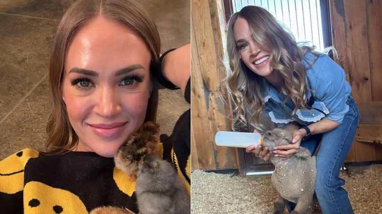 Carrie Underwood aux cheveux bruns