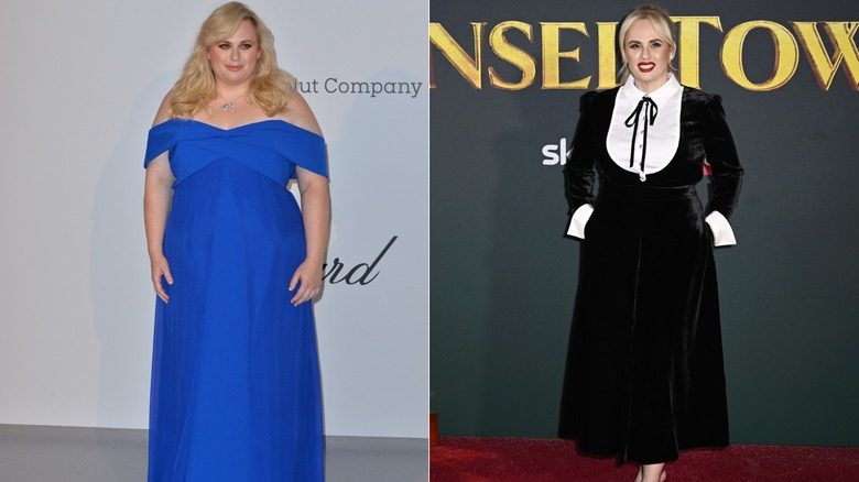 Rebel Wilson en 2019 et 2025