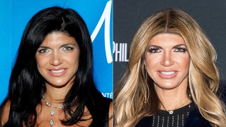 Teresa Giudice en 2009 et 2017
