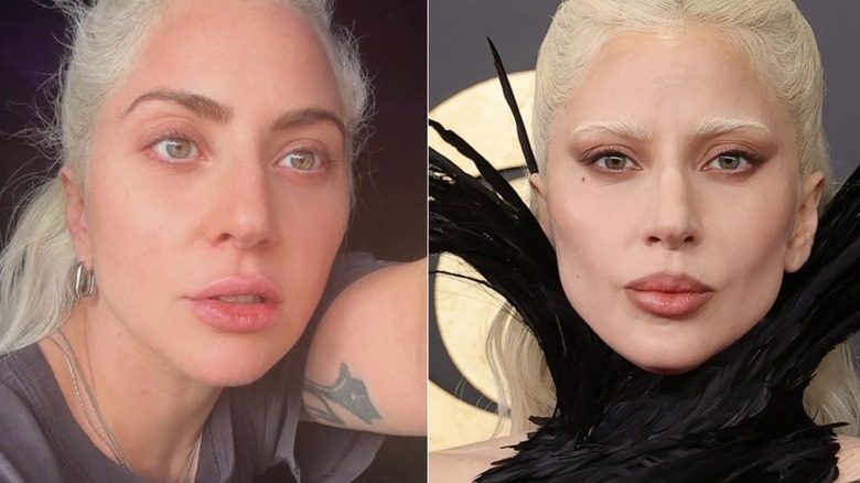Aux côtés de Lady Gaga avec ses sourcils réalisés dans des styles différents. À gauche, elle porte ses sourcils bruns naturels, qui présentent une arche douce. À droite, elle arbore des sourcils blond platine assortis à ses cheveux.