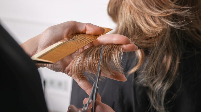 Gros plan sur les cheveux coupés