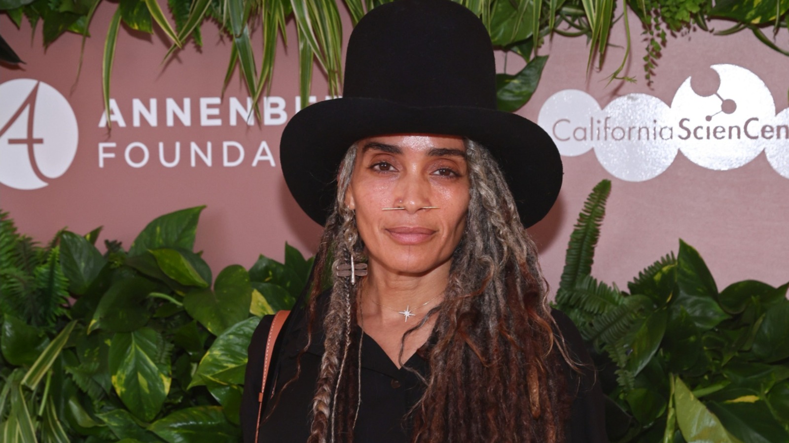 La superbe évolution des cheveux gris de Lisa Bonet, en photos