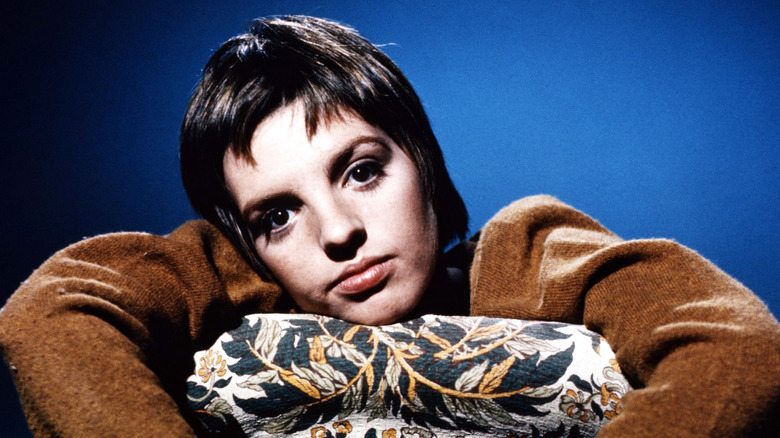 Liza Minnelli posant la tête sur le côté, portant un haut marron sur fond bleu.