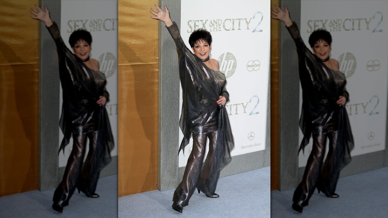 Liza Minnelli posant lors d'un événement sur le tapis rouge, vêtue d'une tenue métallique et le bras en l'air.
