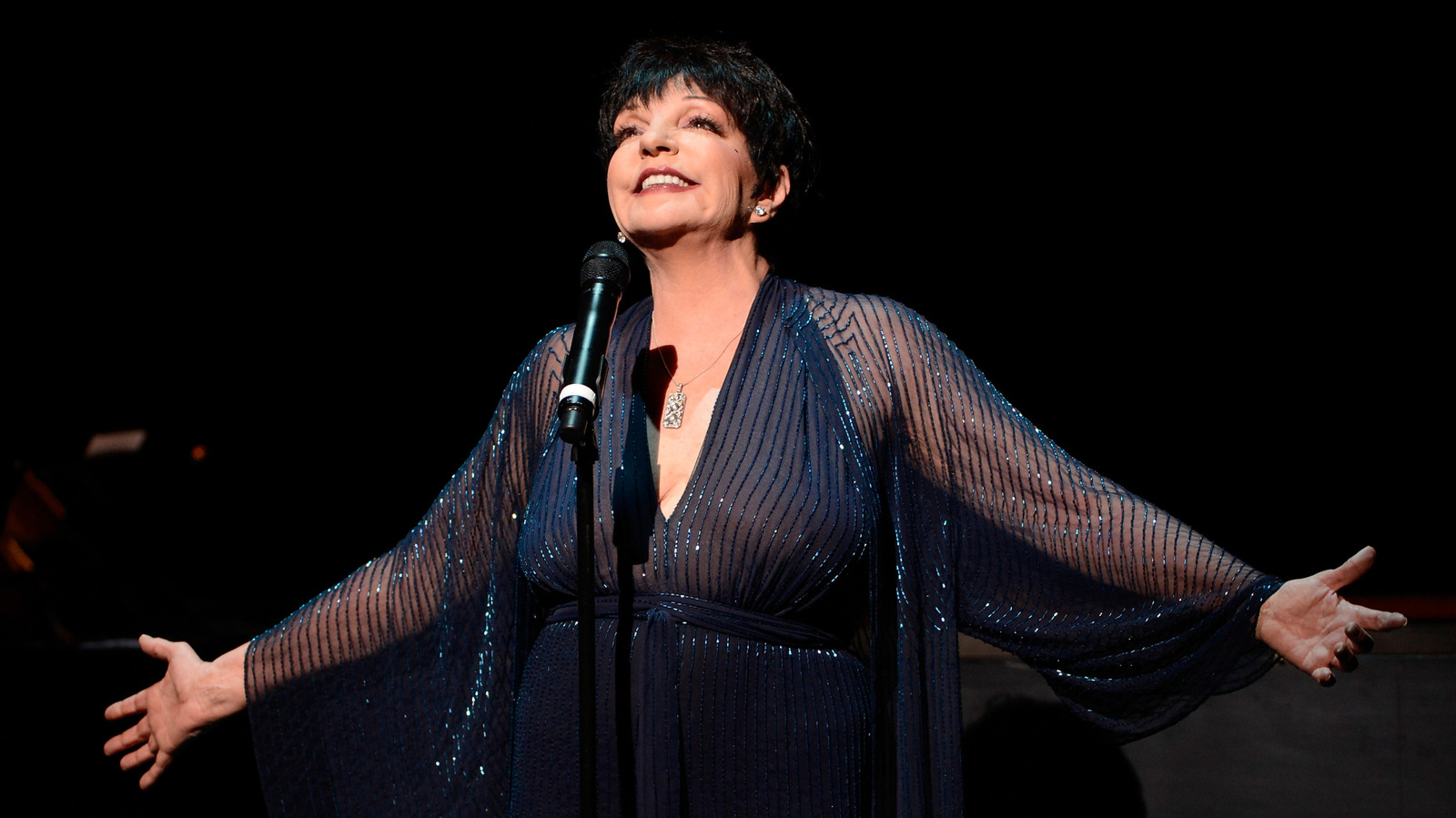 L'évolution du style de Liza Minnelli tout au long de sa riche carrière