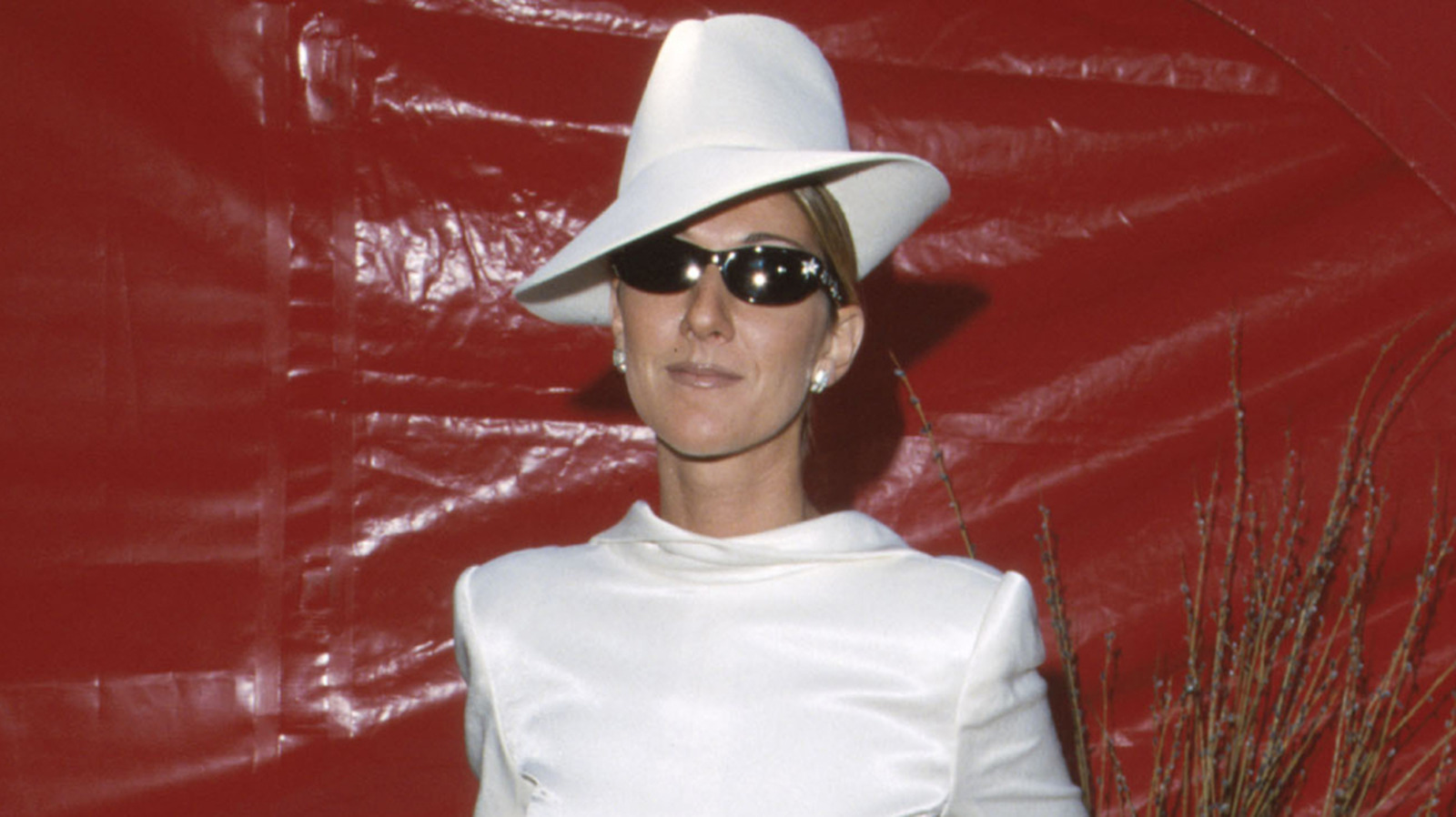 Les Oscars 1999 de Céline Dion semblent en tête des listes des pires tenues, mais les fans disent que c'est emblématique aujourd'hui