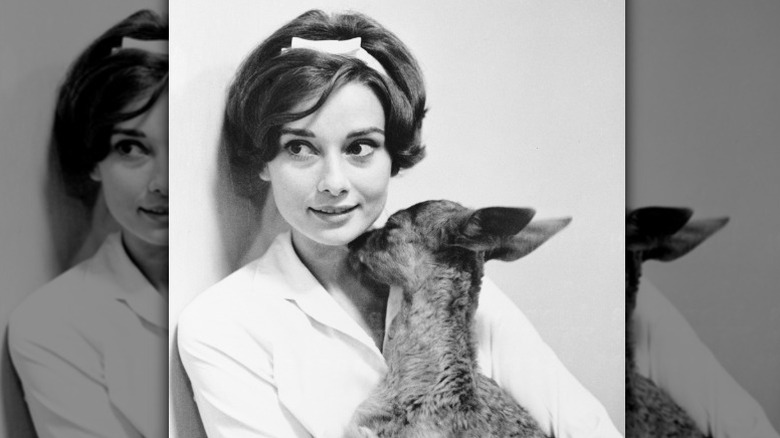 Audrey Hepburn, amoureuse des animaux, tient son faon dans ses bras