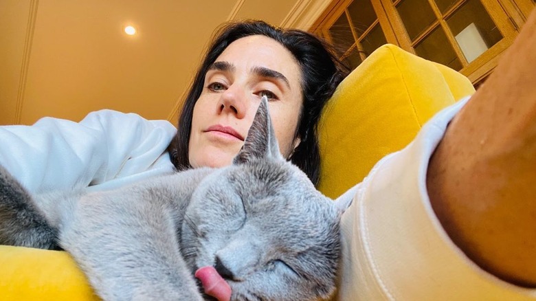 Jennifer Connelly partage un selfie sans maquillage avec son chat