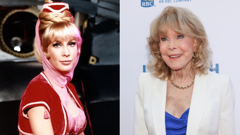 Barbara Eden dans 
