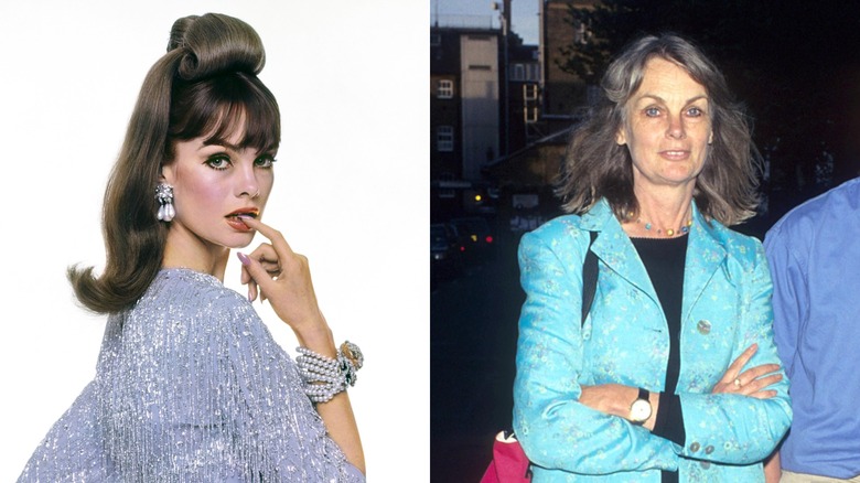 Une jeune Jean Shrimpton se mord le doigt vêtue d'un cardigan à paillettes. Un Jean Shrimpton plus âgé portant une veste bleue.