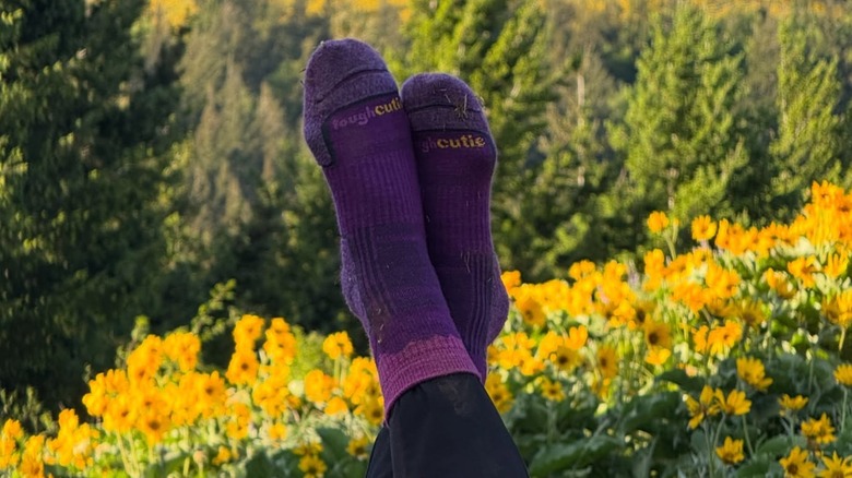 Brittany Coleman a posé dans ses chaussettes violettes ToughCutie dans un champ de fleurs sauvages sur Dog Mountain à Washington pendant sa "Chaussettes et Sommets" série de randonnées en mai 2025.