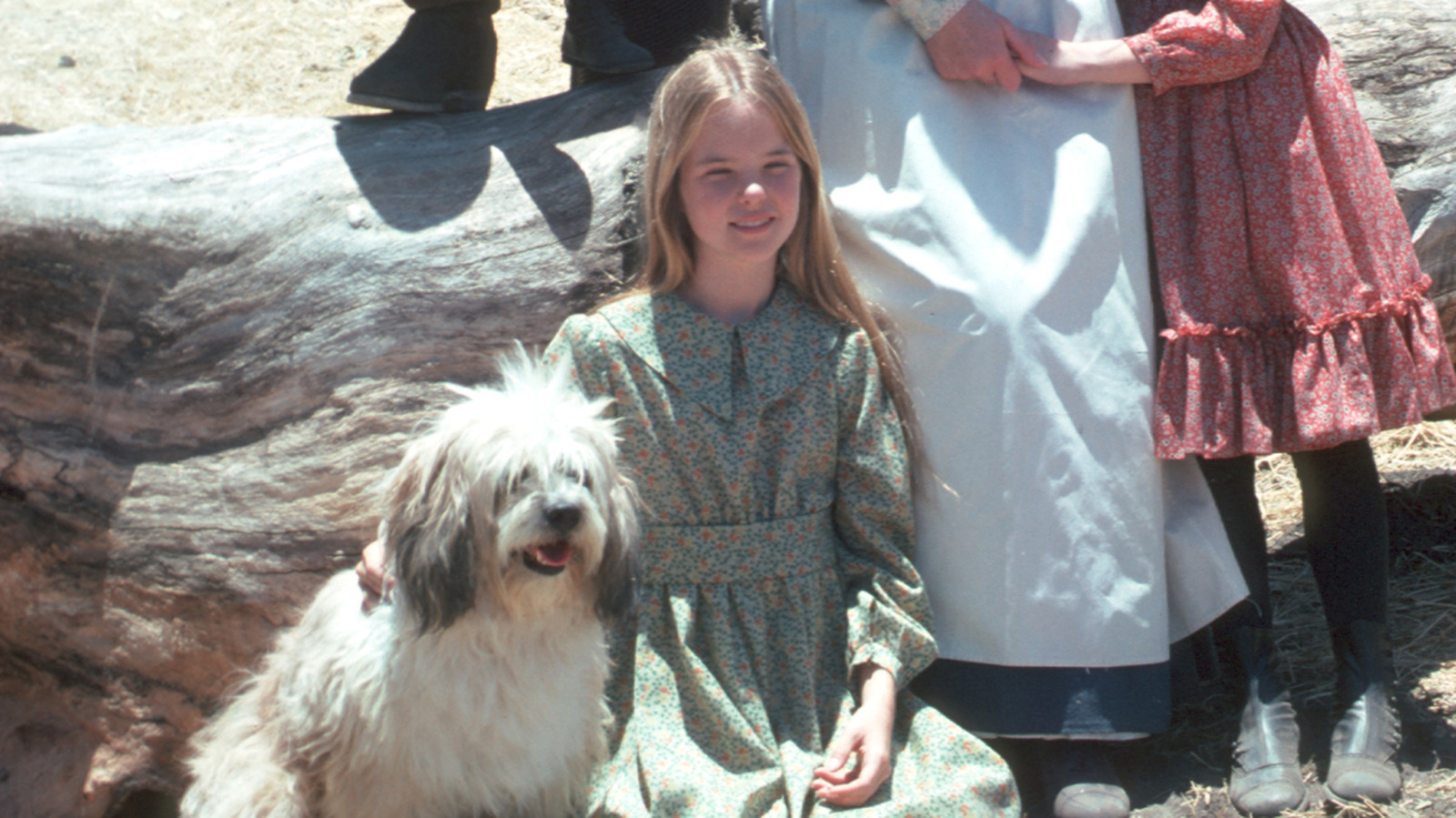 Les fans de Little House conviennent que Mary Ingalls était le personnage le mieux habillé de la série originale