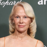 Le Bob Shaggy Strawberry-Blond de Pamela Anderson était l'une de ses balançoires beauté les plus audacieuses
