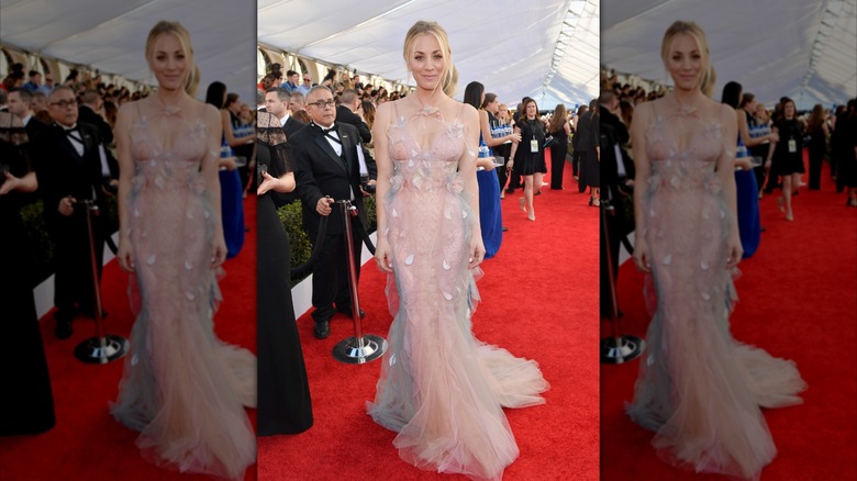 Kaley Cuoco sourit dans une robe en tulle rose